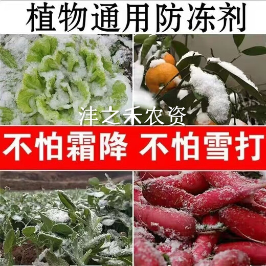Imported plant antifreeze liquid antifreeze plant antifreeze melons, fruits and vegetable seedlings antifreeze safe winter antifreeze no frost damage antifreeze 500g* bottle cold resistance + fertilizer supplement to increase production