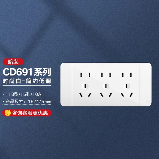 DELIXI Socket Panel CD691 Series 118 Porous Socket Panel Fashion White Filling Blank Parts (Functional Parts)
