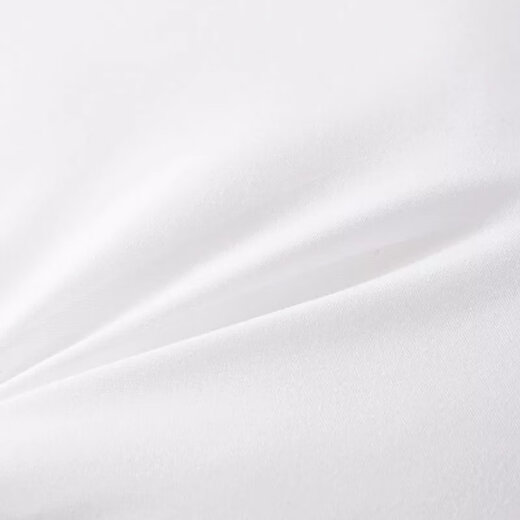 Pillow core + pillowcase hotel pillow single pair pack home washable pillow core feather velvet pillow single side sapphire blue high pillow 2 pillows + two pillowcases