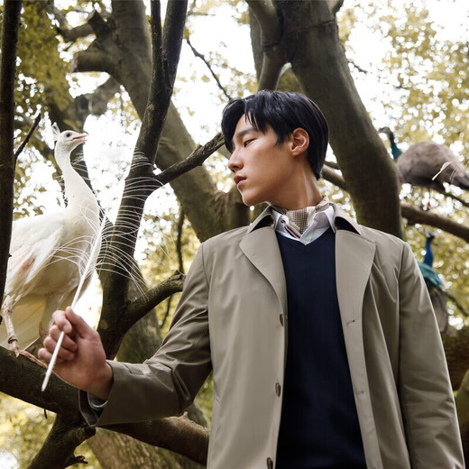 Youngor Windbreaker Men's Autumn and Winter Young Men's Business Casual Cotton Windbreaker VYCF429949YAA Khaki 175/96A