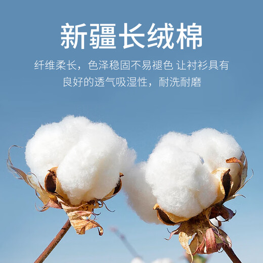 帝宾泽大码长袖衬衫男加肥加大宽松白色DP免烫抗皱易打理纯棉高端白衬衣