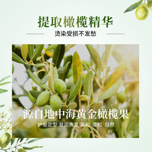 SIVIA (SIVIA) Elastic Curly Moisturizing Frizz Styling Protector for Men and Women Hair Care Essential Oil Perm Elastin Long-lasting Fragrance Elastin 260ml Olive Essence