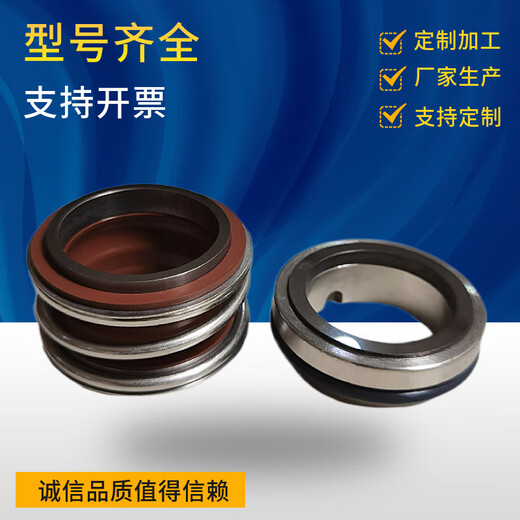 XMSJ Mechanische Dichtungen 109-35 g/25/50/3