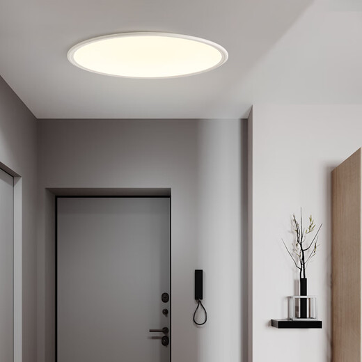 Yilin Round Living Room Ceiling Lamp Bedroom Lamp Simple Modern Nordic Minimalist Atmosphere Home Study Room LED Lamp White-Eye Protection Anti-Blue Light Ra>97_40CM Three