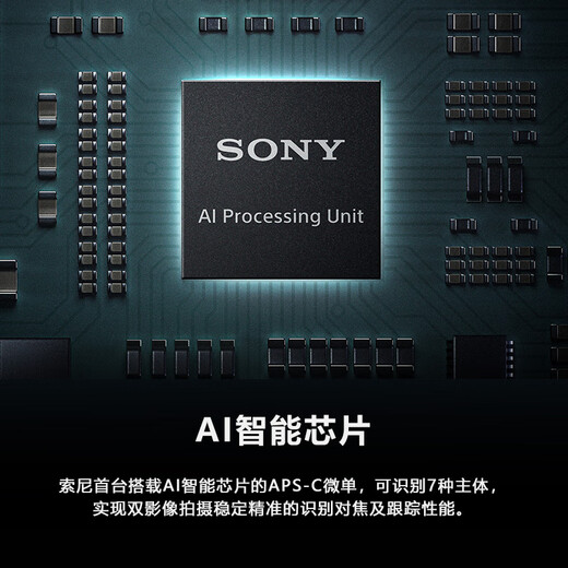 Sony (SONY) Alpha 6700 APS-C Mirrorless Camera Creative Filter AI Smart Chip SEL18135 Kit (ILCE-6700/a6700)