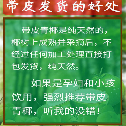 Xianyouji Hainan Wenchang Coconut Green Large Fruit Fresh Coconut Coconut for Pregnant Women is picked and sent with coconut opener and straw 6 coconuts with skin (3 Jin Jin for a single fruit is equal to 0.5 kg - 5 Jin Jin is equal to 0.5 kg)
