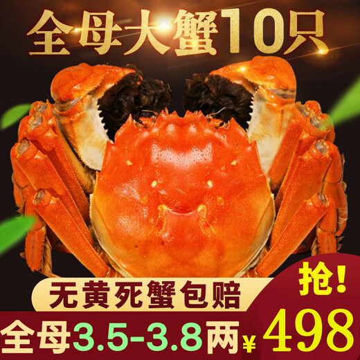Live crabs, Yangcheng Jiayuan hairy crabs, spot fresh large crabs, male and female crabs, seafood and aquatic products, fresh gift box selection, whole female 3.5-3.8 taels, ten gift boxes