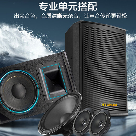 HYUNDAI现代会议室音响系统壁挂家庭KTV蓝牙功放教学培训店铺无线话筒背景音乐舞蹈教室酒吧商场音箱套装 10寸音响2只+功放+一拖四U段麦克风