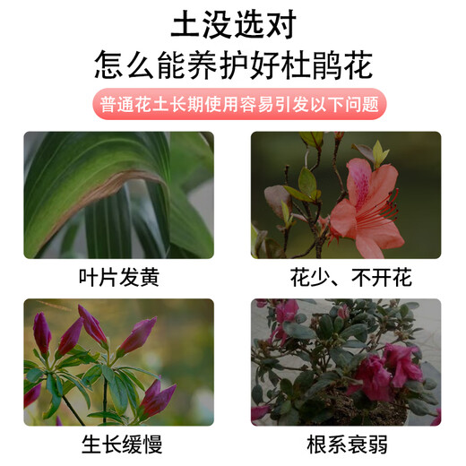 Devodo azalea special nutrient soil 15L gardening green plant potted flower growing soil vegetable soil organic plant material planting soil
