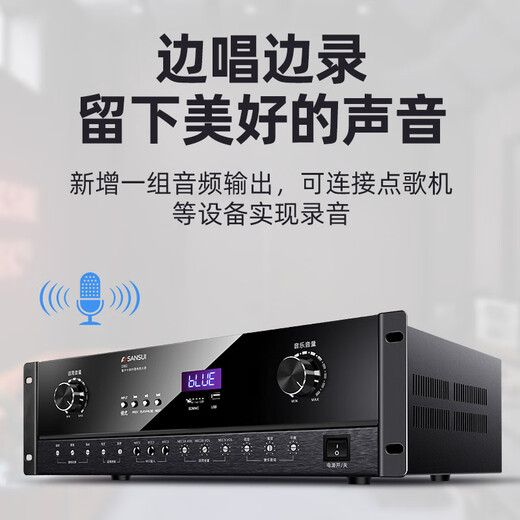 Shanshui (Sansui) DM2 Home KTV-Verstärker, Hochleistungskartenpaketverstärker, professioneller Bass, Verstärker mit fester Beständigkeit, KTV-Audio-Bluetooth-DM2-Karaoke-Verstärker [Peak 900W]
