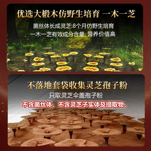 元生泰高三萜灵芝孢子油软胶囊赤灵芝孢子粉精华中老年人营养品保健品 24粒*30盒（半年量）
