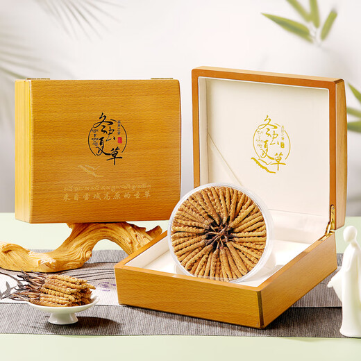 2 Cordyceps sinensis raíces/g 20g 40 a gran altitud Cordyceps grandes especificaciones Cordyceps King Nutritive Gift Box