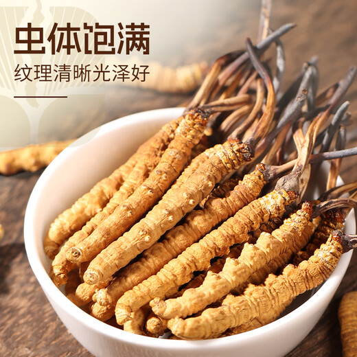 
Yuanjiang grass Cordyceps sinensis 2 pieces/g 10 grams about 20 pieces First Cordyceps king gift box supplements for elders and parents gifts