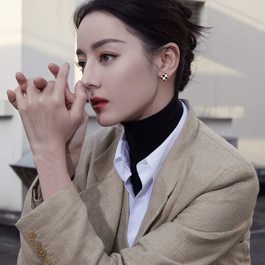 Danbi temperament black earrings 2024 new unique niche earrings light luxury high-end silver earrings for ear piercing black temperament earrings