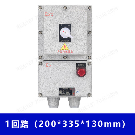 Customized applicable explosion-proof distribution box lighting inspection button instrument switch control cabinet anti-corrosion operating column stainless steel explosion-proof distribution box 11 circuit + main switch