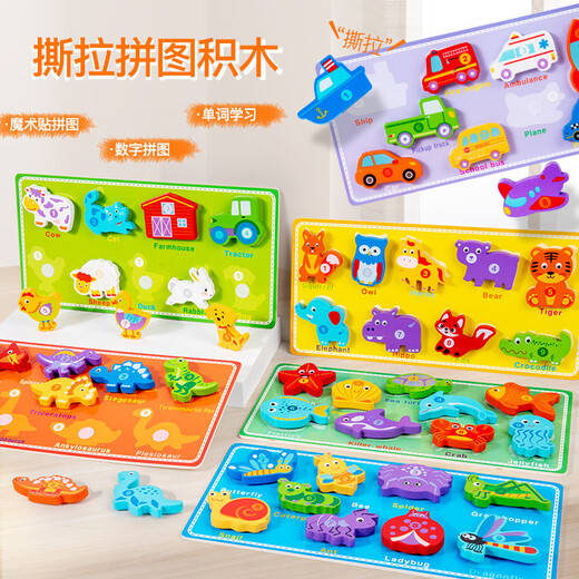 Kinderverkehr für digitale Tierverkehrs ziehen Puzzlespielzeugkuchenbrett Frühschulgebäude Bausteine handkennzeichnende Pinyin -Buchstaben Tränen von Puzzle Insektenmodell - Englisch Schriftart Modell