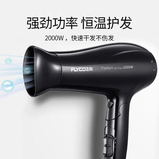 Feike Haartrockner Haushalt großer und kleiner Kraft 2000W Heiße und kalte Luftprofi-Friseur-Friseur-Friseur-Geschäft Konstante Temperatur Haartrockner FH6231 (3 Gear) 2000W Schwarz