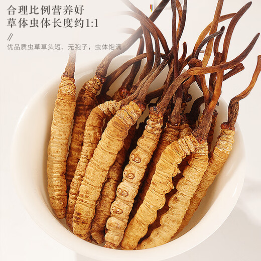 Fudonghai Cordyceps sinensis 20G Caja de regalo 3-4 Piezas/G Caja de regalo La hierba entera sin romper el césped puede ser empapado en polvo en el vino tónico