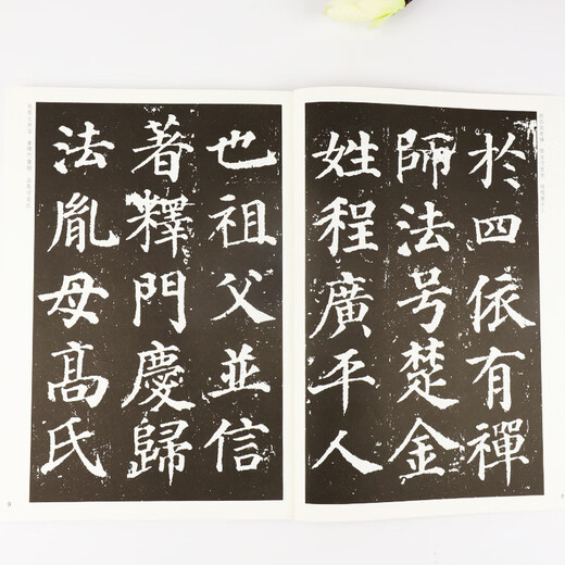 Ink dot copybook Tang Yan Zhenqing Duobao Pagoda original copy Yan style regular script brush calligraphy copybook Beginner entry-level elementary school students adult self-study entry copy copy template training class practical book brush calligraphy