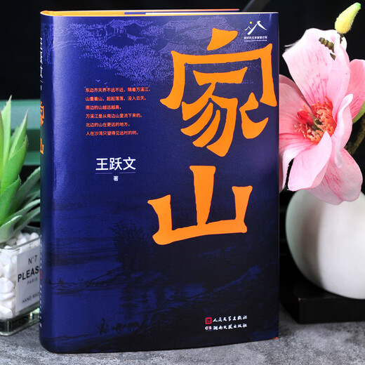 【现货正版·新书699页】家山书王跃文著 作家王跃文Z新长篇小说力作 我是一个乡下人乡土中国日常生活 史笔为文 人民文学出版社 家山