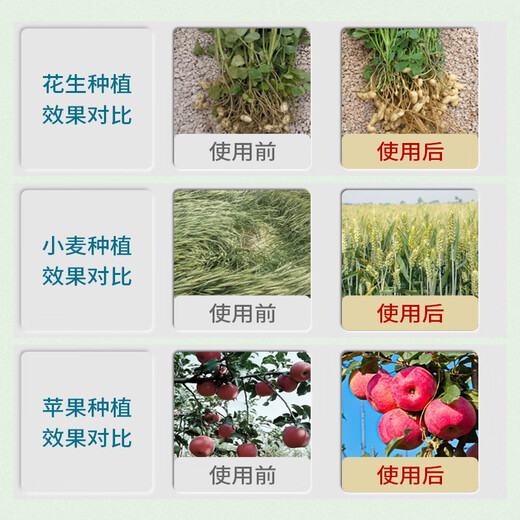 Guoguang 0.01% 24 epibrassinolide lactone rooting and seedling strengthening flower Ximu vegetable pesticide regulator 100ml