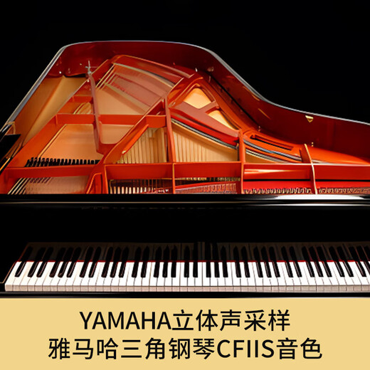 Yamaha Electric Piano P48B tragbarer 88-Key-Hammer-Smart Digital Piano-Bewertungshome P48 Host + Holzregal + Drei Stufen