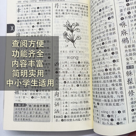 新编学生字典第二版 正版出售【平装本】中小学语文教材配套工具书人民教育出版社 小学通用