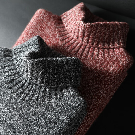 Pash Men's Cashmere Sweater 100% Cashmere 24 Autumn and Winter New Style Flower Turnis Neck Thicken Knitted Sweater TRC-1477 Flower Turnis Red 2XL