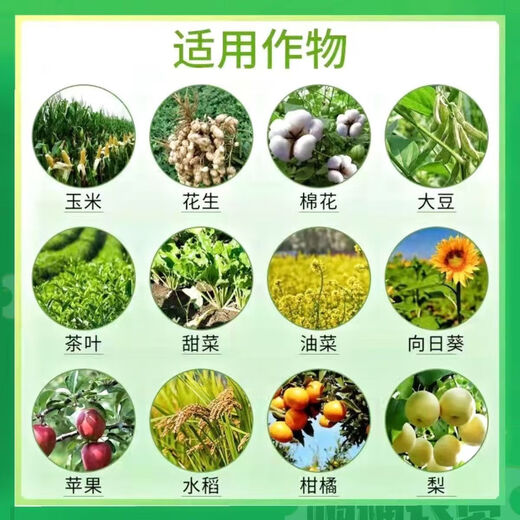 Lanyue Sichuan Lanyue full seat 97% benzylaminopurine genuine flower bud differentiation, flower and fruit preservation and plant growth promotion agent full seat 15g