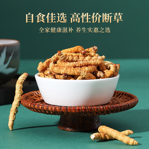 Purple and blue flower sea Cordyceps sinensis Cordyceps sinensis Premium pure meat festival broken grass Self-eating high cost performance Large pure meat festival 50g pack [Family nourishment]
