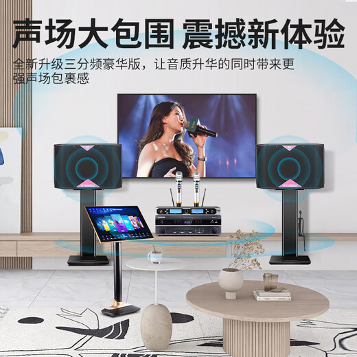 
HYUNDAI Modern 2025 high-end home theater ktv audio set computer TV projector living room home k song sing machine kraak full set of professional amplifier speaker equipment audio + amplifier + H-500