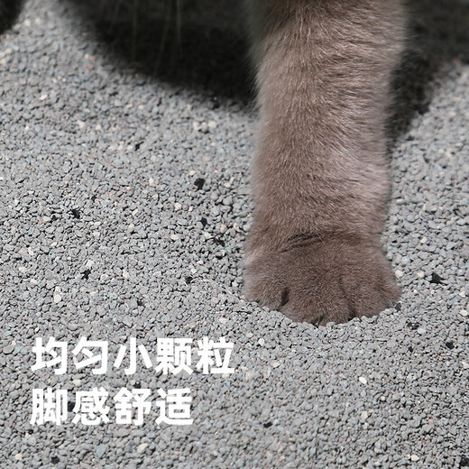 HONEYCARE 好命天生 活性炭倍净膨润土猫砂2.5kg*4包 小颗粒易结团无尘