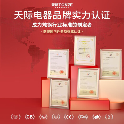 Tianji (TONZE) Electric Stew Pot, Soup and Healthy Bird's Nest Cup, Porridge, Steaming and Stewing, Can be Stewed in Water at a Predetermined Time, Creamy White 2.5L, Five Bites in One Pot (Water Stew + Steamer) 2.5L