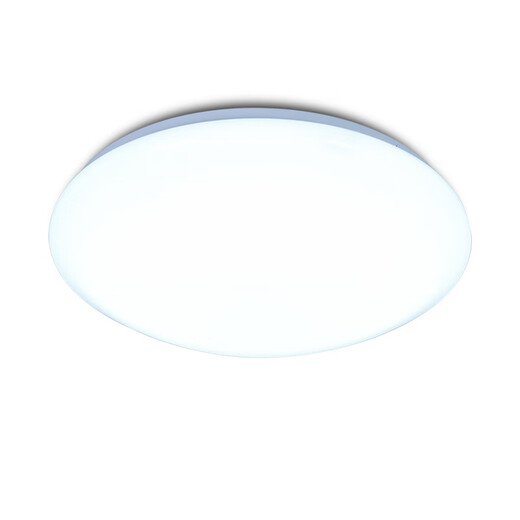 Micro ceiling lamp LED super bright home living room bedroom kitchen lamp round staircase balcony simple 24W 26CM white light promotion