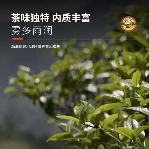 虎标中国香港品牌 茶叶 普洱茶 勐海普洱熟茶200g铁盒装送礼