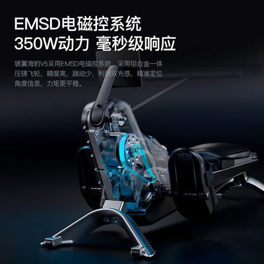 Blue Eagle H5 Rowing Machine Home Intelligent Magnetic Control Fitness Equipment Indoor Aerobics Professional Edition Rowing Machine LCD Screen