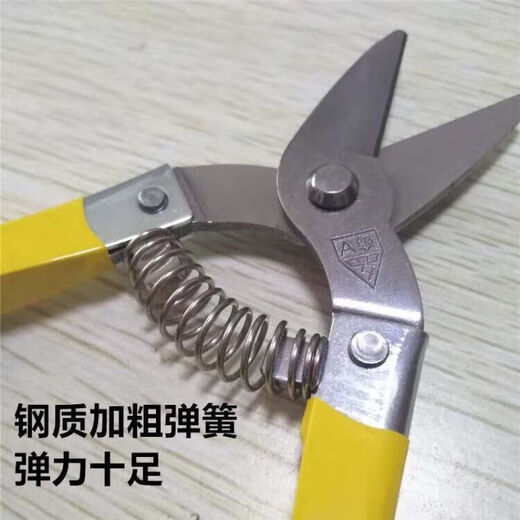 Denning stainless steel flat mouth straight head sugar orange citrus passion fruit tribute orange navel orange fruit picking scissors bud scissors 17cm