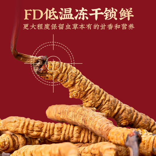 
Tongfu Cordyceps sinensis 2 roots/g 10g 20 roots gift box tonic nutritional supplements gifts for elders