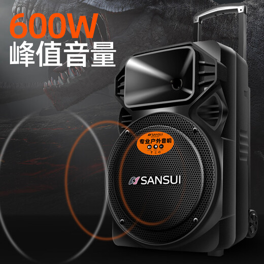 SANSUI A12-66 12-inch square dance speaker outdoor karaoke subwoofer Bluetooth speaker portable karaoke mobile stage trolley speaker high-power amplifier flagship version (12-inch subwoofer + dual microphones)