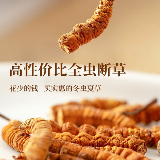 Cordyceps authentic snowy areas in Tibetan areas, fresh Cordyceps sinensis broken grass, cordyceps dry goods and affordable in bulk, authentic Tibetan areas, medium-altitude large cut 1 gram