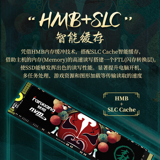 梵想（FANXIANG） SSD固态硬盘 M.2接口(NVMe协议)  S500系列 精选TLC颗粒 PC台式机笔记本电脑 存储配件 S500pro 精选TLC颗粒 1T