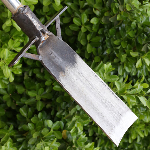 重型挖树锹锰钢加厚起苗洛阳铁铲户外断根铲子农用挖土坑神器铁锹 重型3523挖树锹驰不含杆