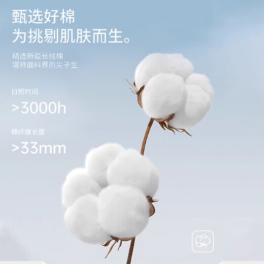 雪茜曼4条装孕妇内裤女低腰抑菌纯棉初期中期晚期内裤