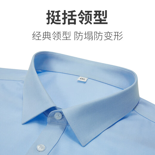 帝宾泽大码长袖衬衫男加肥加大宽松白色DP免烫抗皱易打理纯棉高端白衬衣