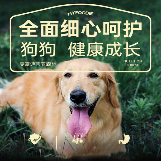 MAIFUDI NUTRITION FOREST ALIMENTATION DIGURES HUSKY GOLDEN Retriever Samoyed Medium et Grand Chiens Nature Natural Puppy Food 15 kg (2,5 kg 6 sacs)