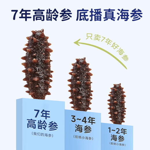 Fresh out of Dalian ready-to-eat sea cucumbers, sea cucumbers, sea cucumbers, sea cucumbers, sea cucumbers, dried goods 7-13 heads, net weight 500g