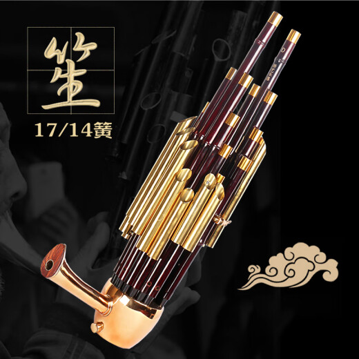 Qi ist 17 Frühling 14 Frühlingsverstärkungs-Musikinstrumente, Runde Sheng Square Sheng Kultivierungsinstrumente Sheng Bag Anfänger 17 Springverstärkungs-Musikinstrumente (lila Bambus weiße Röhre) -D-Melodie