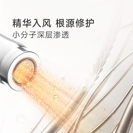 Chai Mi Shao Guang G20Pro high-speed hair dryer household high-power negative ion hair dryer essence bomb hair hair dryer gift Glacier Silver AHD7-SL