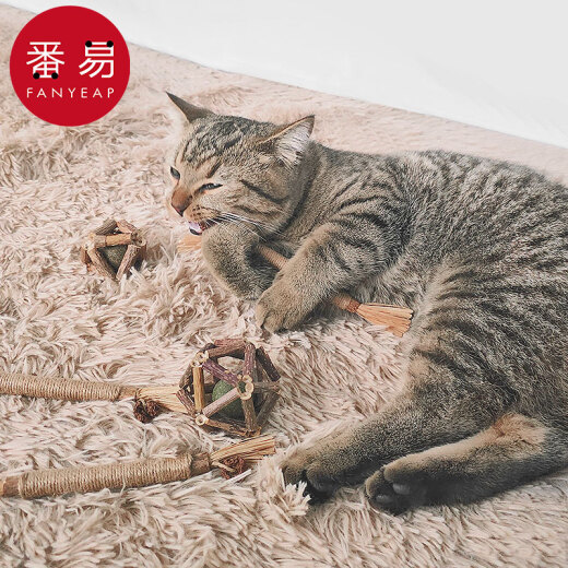 Fanyi Mu Tian Polygonum Stick Cat Molar Stick Adult Kitten Teeth Cleaning Self-Happiness Relief Toy Pet Mint Exquisite Ball Funny Cat Stick Thin Stick 8 pieces/pack 1 pack