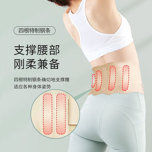 
TEEIS German waist belt long-term sitting artifact summer thin lumbar disc herniation medical lumbar muscle strain women abdominal tightening exercise Steel plate support waist belt M code丨suitable weight 90-120Jin [Jin equals 0.5 kg]